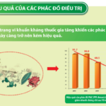 Infographic – Hiệu quả của các phác đồ tiệt trừ vi khuẩn HP hiện nay Infographic – Hiệu quả của các phác đồ tiệt trừ vi khuẩn HP hiện nay