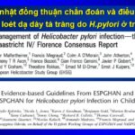 Cập nhật khuyến cáo điều trị nhiễm H. pylori ở trẻ em 2017 Cập nhật khuyến cáo điều trị nhiễm H. pylori ở trẻ em 2017