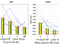 Đánh giá hiệu quả của bổ sung kháng thể OvalgenHP trên đối tượng người bệnh dạ dày nhiễm Hp