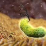 Nhiễm vi khuẩn Hp có thể mắc bệnh gì?