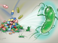 Chuyên gia cảnh báo nguy cơ vi khuẩn Hp kháng thuốc và  các giải pháp mới