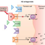 6 nhóm thuốc điều trị đau dạ dày hiệu quả nhất hiện nay