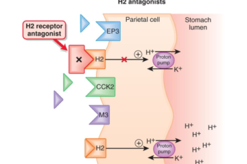 6 nhóm thuốc điều trị đau dạ dày hiệu quả nhất hiện nay