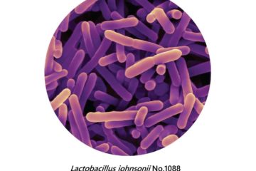 Sử dụng Probiotics trong hỗ trợ điều trị bệnh lý dạ dày do vi khuẩn HP